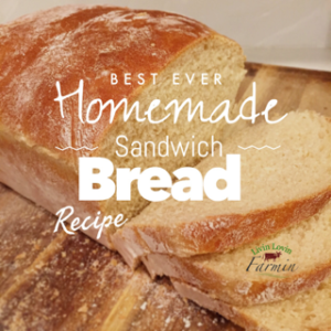 Homemade bread recipe | livinlovinfarmin