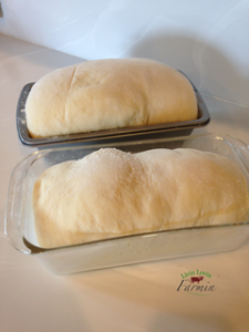 Homemade bread dough | livinlovinfarmin