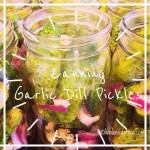 Canning garlic dill pickles | Gardening | Cucumbers | Homesteading | livinlovinfarmin