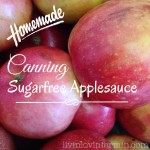 Canning Homemade Applesauce Sugarfree