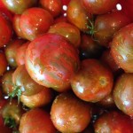 Canning Tomatoes | Livinlovinfarmin