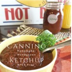Canning Homemade Ketchup | sugar free | DIY | Homemade | Preserving Tomatoes | LivinLovinFarmin