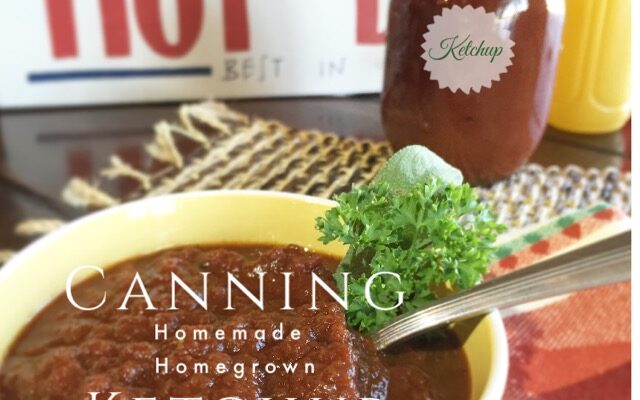 Canning Homemade Ketchup | sugar free | DIY | Homemade | Preserving Tomatoes | LivinLovinFarmin