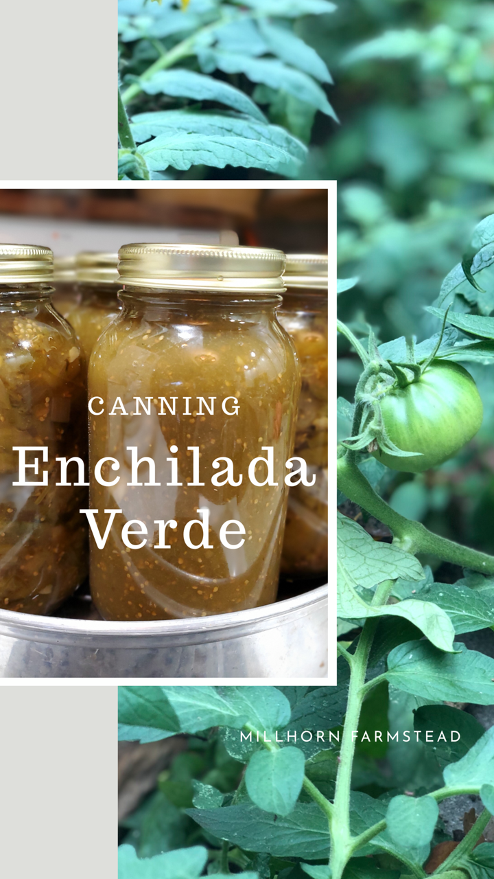 Canning enchilada verde, green tomatoes