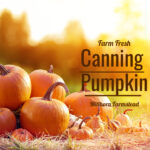 Canning pumpkin,