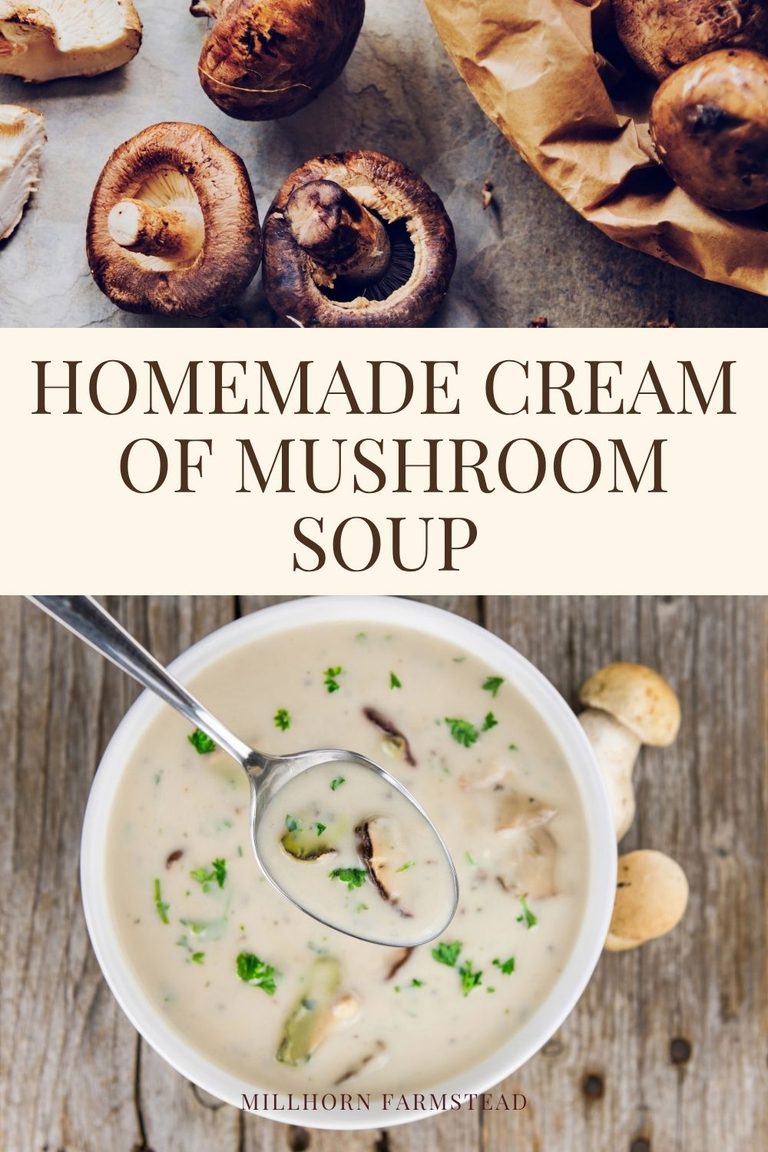 Bowl of homemade cream of mushroom soup with sliced mushrooms and parsley beside fresh mushrooms.