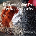 Homemade Poultry Feed | livinlovinfarmin.com