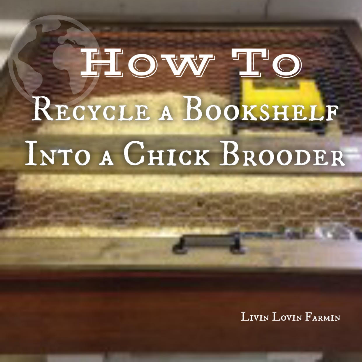 building a homemade chicken brooder from repurposed bookshelf