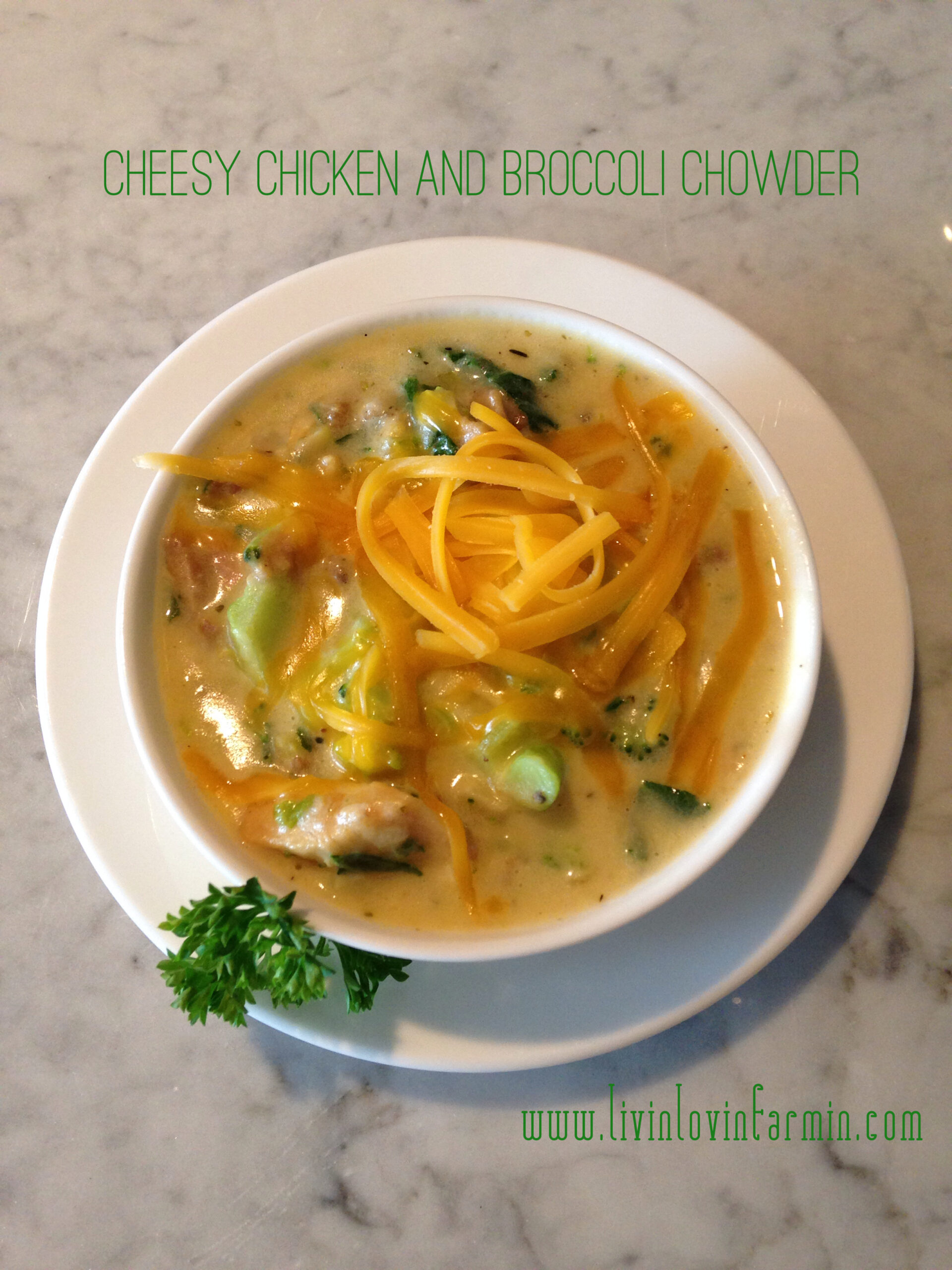 Cheesy Chicken and Broccoli Chowder | livinlovinfarmin (.com)