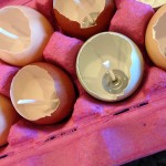 DIY Egg Shell Candles | livinlovinfarmin