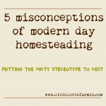5 Misconceptions of Modern Day Homesteading | livinlovinfarmin (.com)