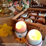 DIY EGG SHELL CANDLES | livinlovinfarmin