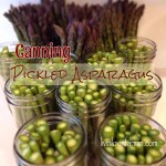 Pickled Asparagus Canning 