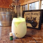 Using Essential Oils on The Homestead