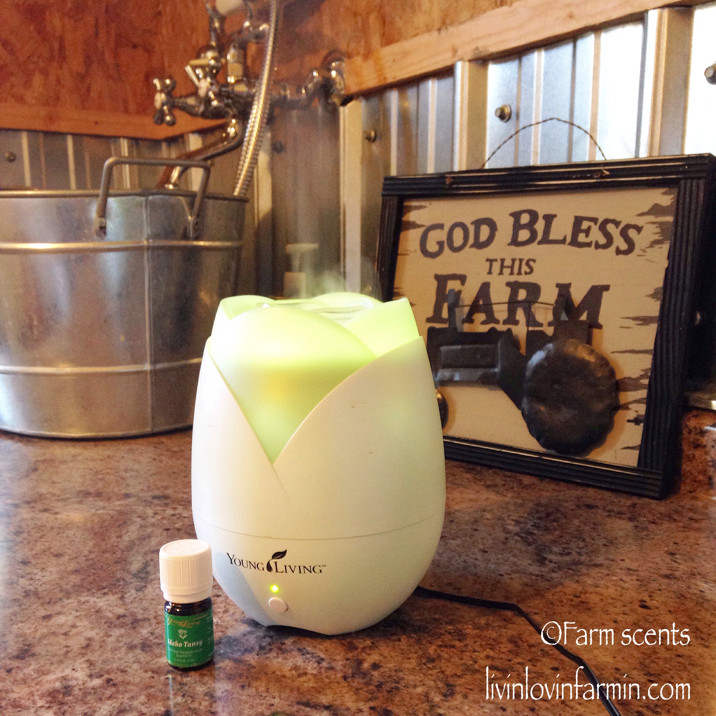 Using Essential Oils on The Homestead
