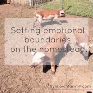 Setting emotional boundaries on the homestead | livinlovinfarmin (.com)