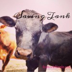 Saving Tank | livinlovinfarmin.com