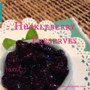 Huckleberry Preserves | livnlovinfarmin.com