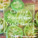 Canning Enchilada Verde Sauce | livinlovinfarmin.com