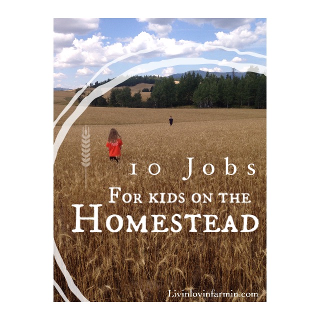 jobs for kids on the homestead