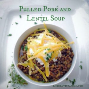 Pulled Pork and Lentil Soup | livinlovinfarmin (.com)