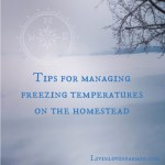 Managing Freezing Temperatures on the Homestead | livinlovinfarmin (.com0