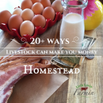 20 Ways Livestock Can Make YOU Money On The Homestead | livinlovinfarmin