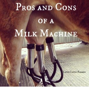 Pros and Cons of Milk Machines | Homesteading | Milking cows | Dairy | Raw milk | Livinlovinfarmin.com