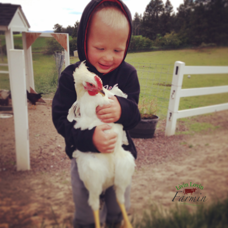 Homesteading. Is the juice worth the squeeze? Livinlovinfarmin