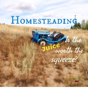 Homesteading. Is the juice worth the squeeze? |livilovinfarmin