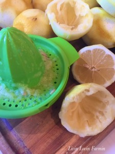 Canning homemade lemonade | homesteading | Livinlovinfarmin.com