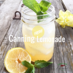 Canning Homemade Lemonade | Homesteading | Livinlovinfarmin