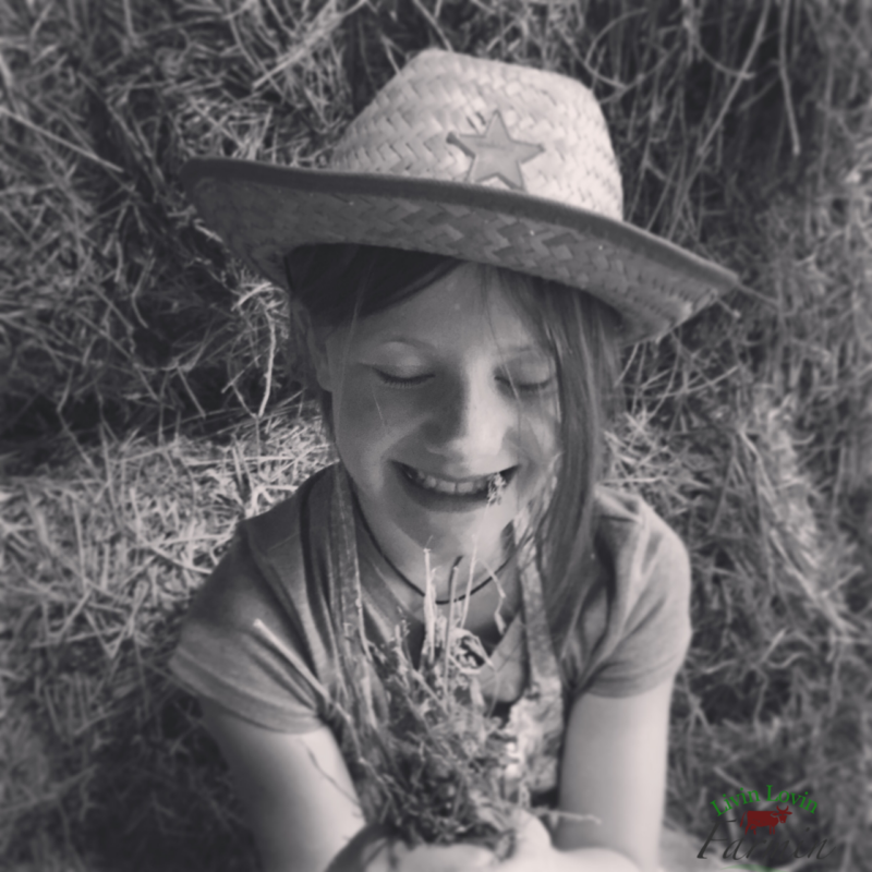 Day in the life of a homesteader | livinlovinfarmin