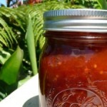 Canning Tomato Chutney | Attainable sustainable