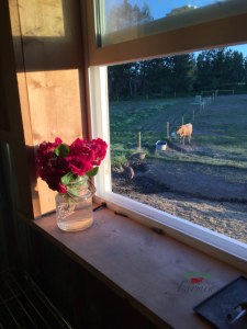 A evening view from my dairy processing room.  Not too shabby. 