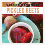 Canning Pickled Beets |livinlovinfarmin