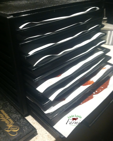 DIY Liver pills | Grass fed | Homemade | Homesteading | livinlovinfarmin