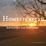 Homesteading Advice first year | livinlovinfarmin