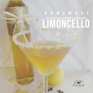 Homemade Limoncello | Homesteading |DIY | livinlovinfarmin