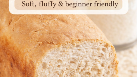 Freshly baked homemade sandwich bread sliced on a kitchen counter.