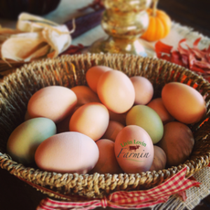 To wash or not to wash farm eggs | homesteading | livinlovinfarmin