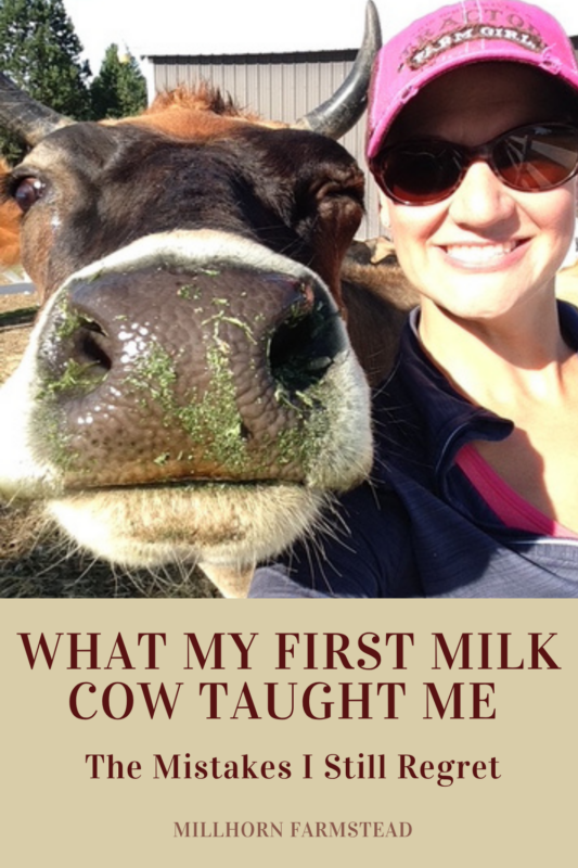 family milk cow mistakes and lessons