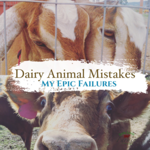 Dairy animal mistakes and failures