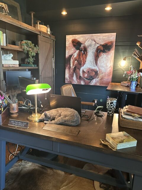 Cowhide beneath my office desk, kept for more than ten years as a reminder to slow down and double-check my work