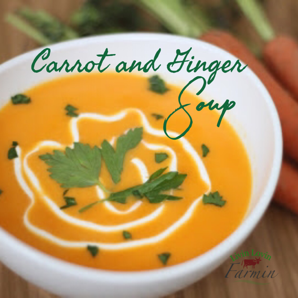 Creamy carrot ginger soup topped with sour cream and fresh herbs.