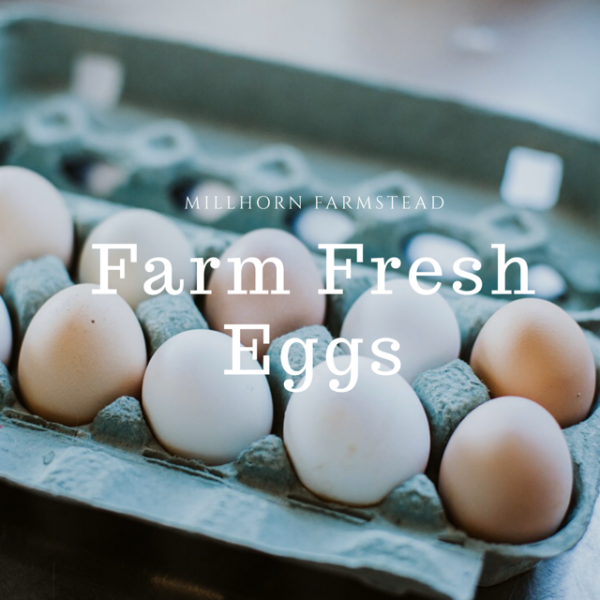 Pastured Eggs