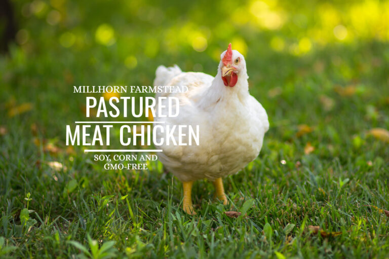 Pastured Meat Chicken