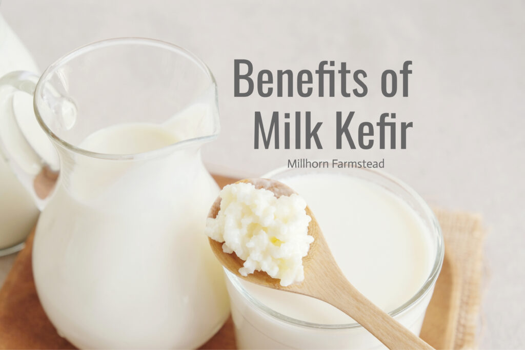 benefits of milk kefir