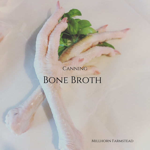 bone broth, canning, chicken feet,