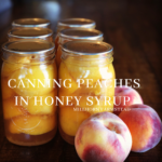 millhorn farmstead, canning peaches in honey,